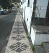avenida14.jpg (57223 bytes)