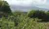 pico024.jpg (84321 bytes)