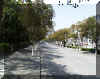 trees_street.jpg (43353 bytes)